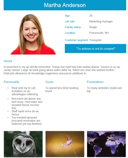 Understand customer needs with the persona infographics