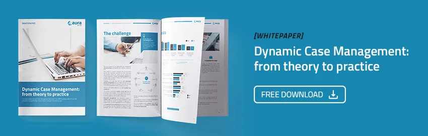 Whitepaper about Dynamic Case Management