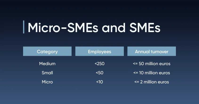Micro SMEs and SMEs micro-smes-smes
