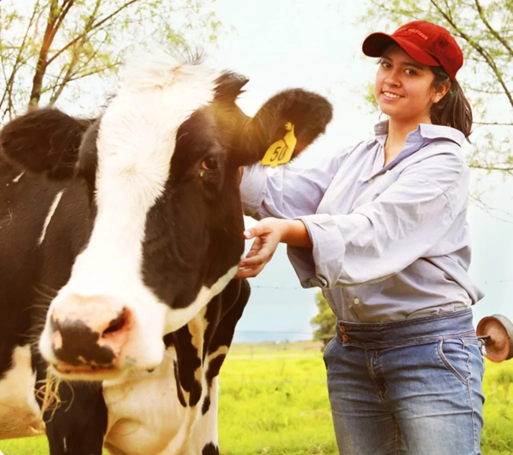 alqueria-pastora-vacas-lecheras