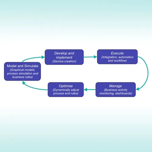 Figure 1: Business Process Management – Process improvement cycle