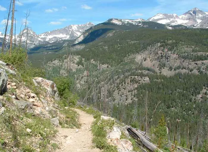 view from a train in Rocky Mountain National Park with tree and snow covered mountains in the background