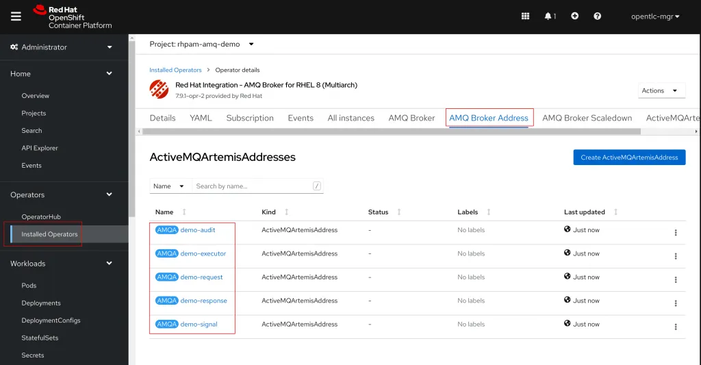 Validate the AMQ Address object creation
