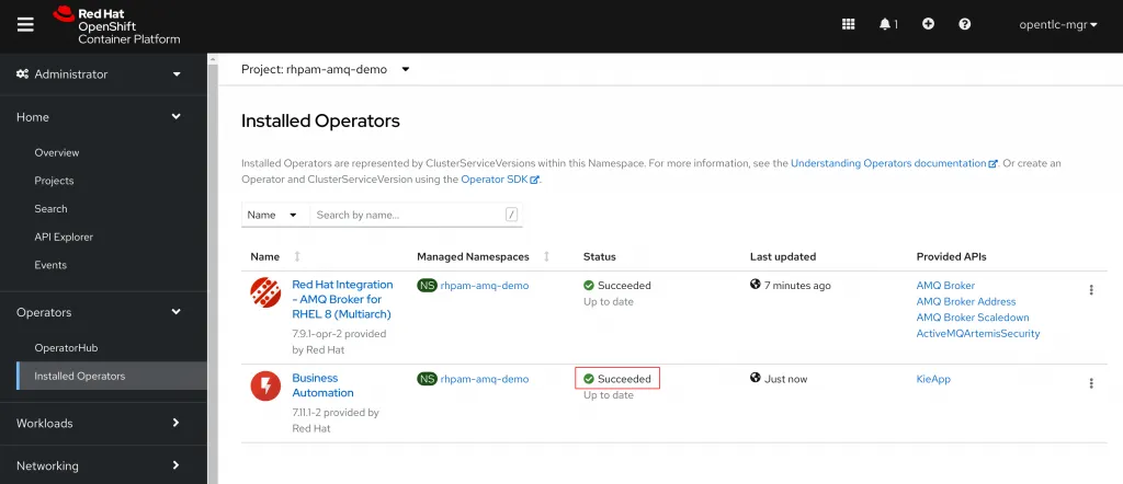 Validate the Business Automation Operator successfully installed