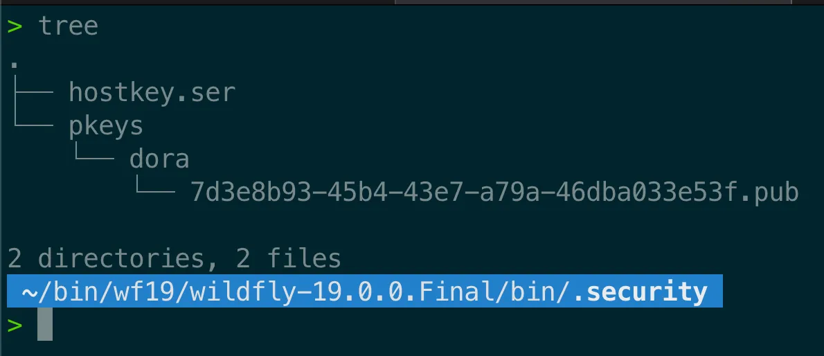 ssh6