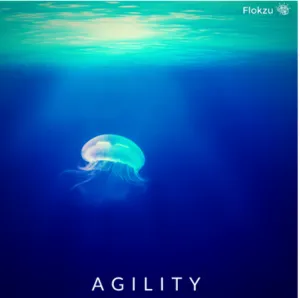 Cloud BPM Tools Comparison - Agility