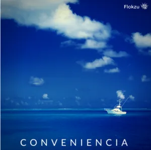 Comparativa de herramientas de BPM en la nube - Conveniencia