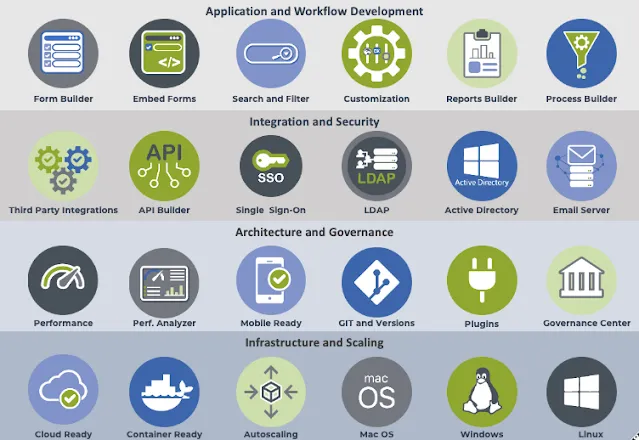 Complete Citizen Development platform and supports Professional Developers