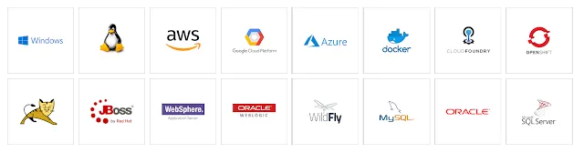 Joget Flexible Deployment Options