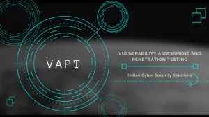 VAPT Service