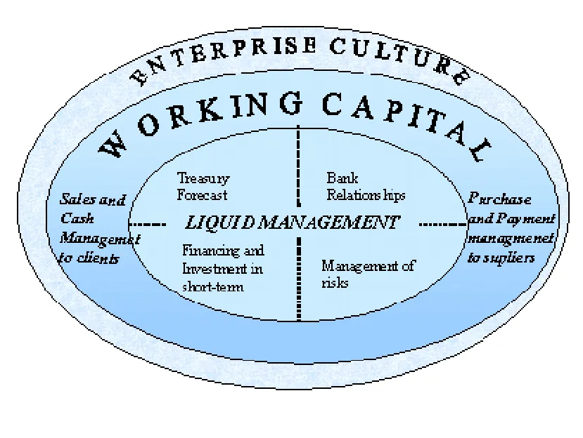 treasury management services in banks