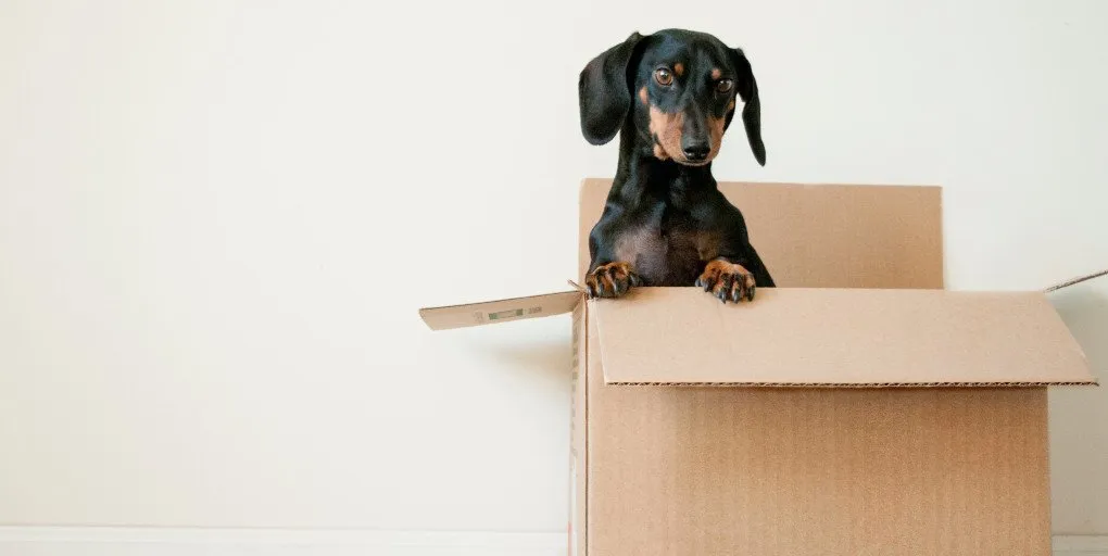 employee engagement moving house