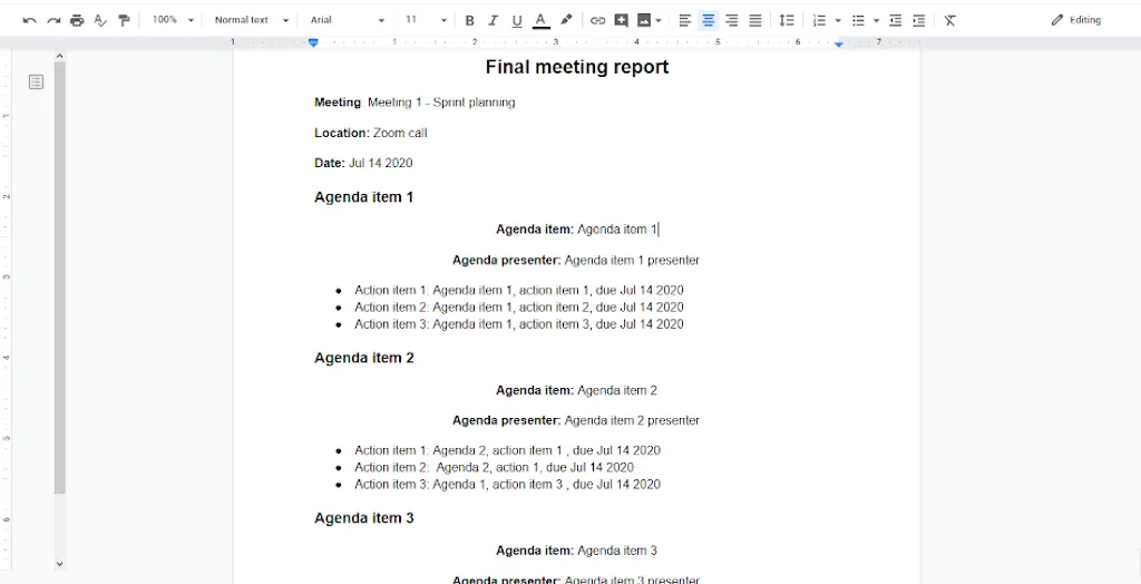 Final meeting report