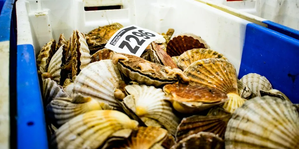 HACCP benefits