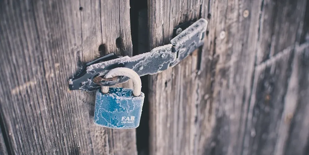 Security audit